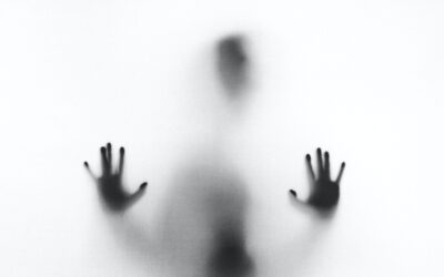 stefano-pollio-ZC0EbdLC8G0-unsplash