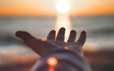 todd-rhines-W0jzK552m8E-unsplash